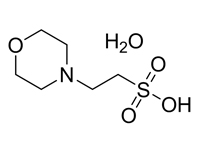 2-(N-嗎啉）乙磺酸一水合物，99%