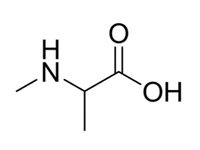 N-甲基-DL-丙氨酸，98%（HPLC）